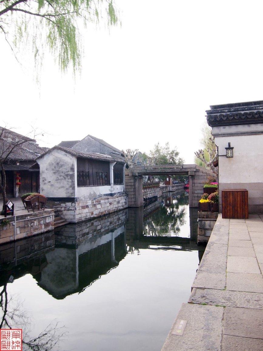 这种是什么虫子